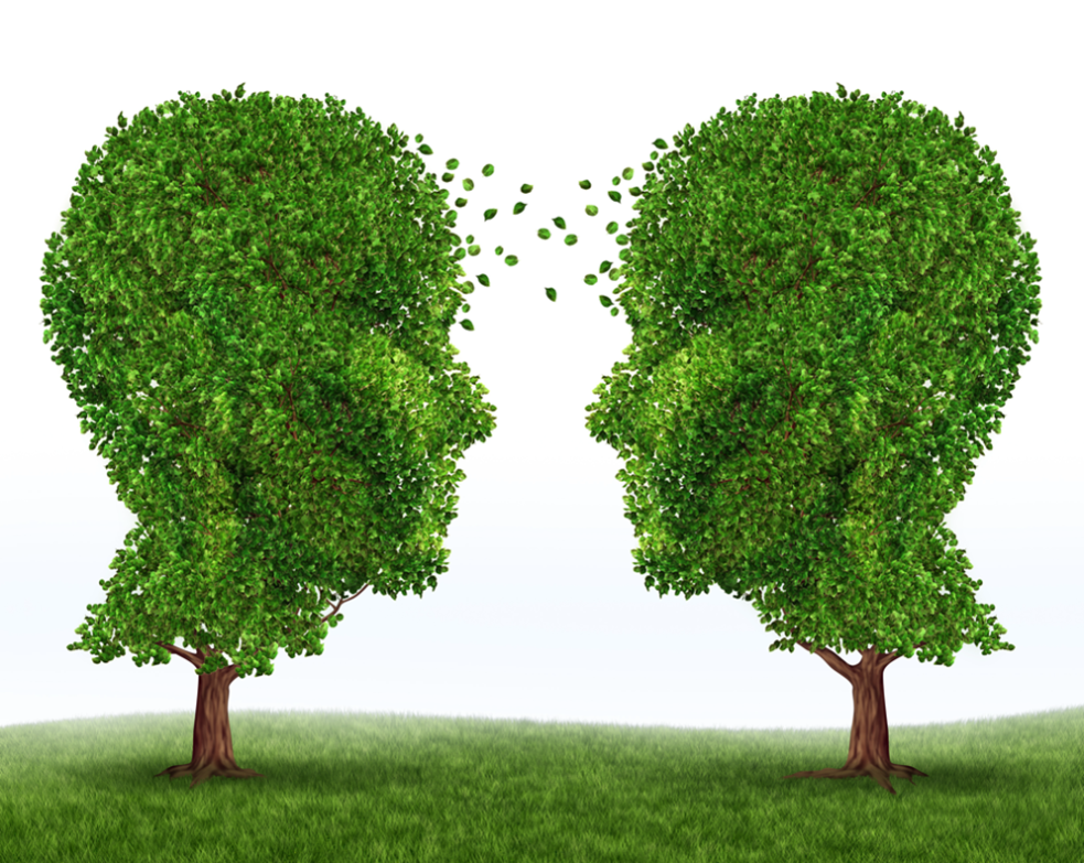 Two trees shaped like human faces in profile face each other. Leavers appear to be blowing and moving between the two.